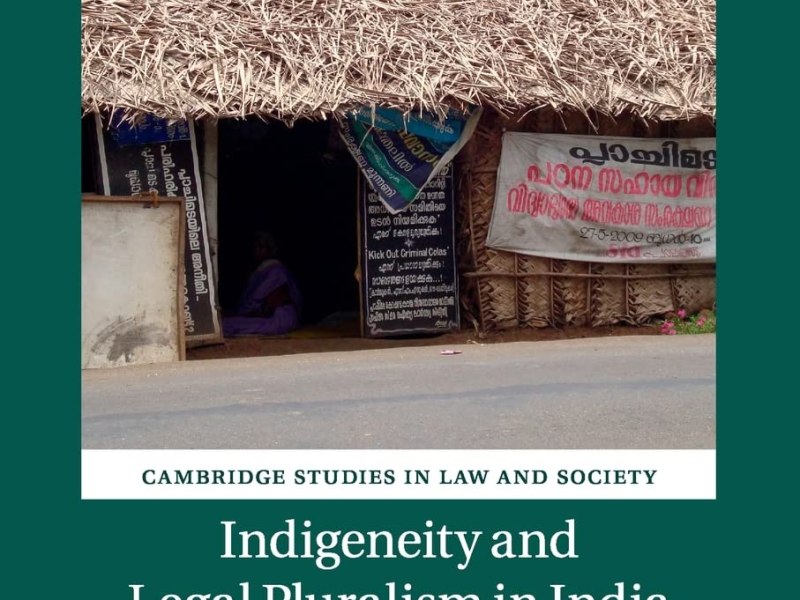 Adivasis and the Indian Constitution – Pooja&nbsp;Parmar